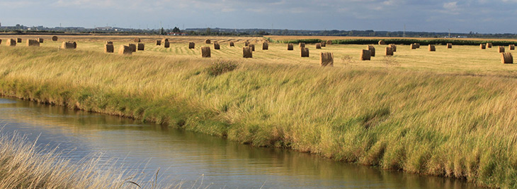 marais-pays-de-retz-villeneuve-en-retz