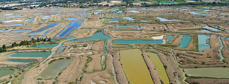 villeneuve-en-retz-vue-aerienne-marais-44580